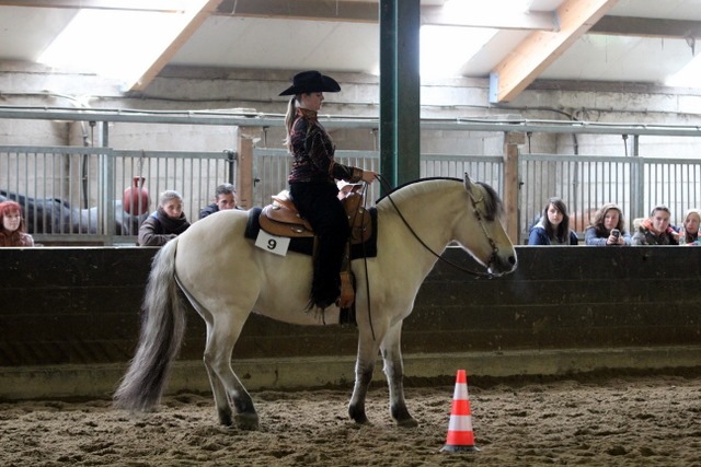 Western Horsemanship