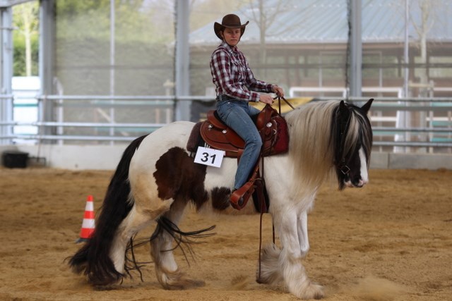 Western Horsemanship