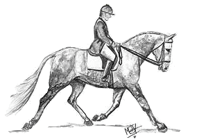 Hunter Under Saddle