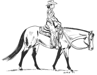 Western Pleasure