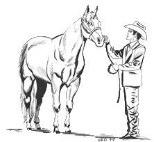 Showmanship