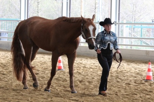 Showmanship