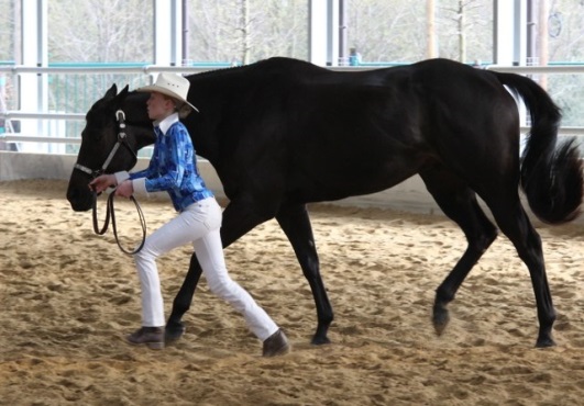 Showmanship