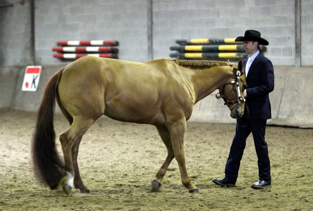 Showmanship