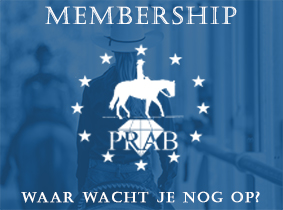 Wordt vandaag nog een member